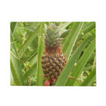 Wild Pineapple Tropical Fruit in Nature Doormat