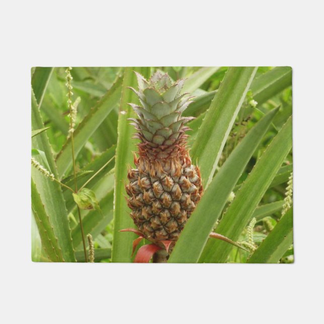 Wild Pineapple Tropical Fruit in Nature Doormat (Front)