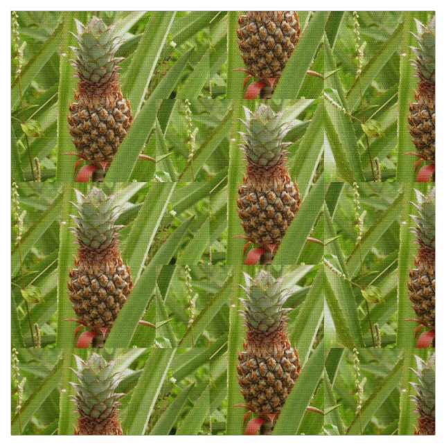 Wild Pineapple Tropical Fruit in Nature Fabric (Swatch)
