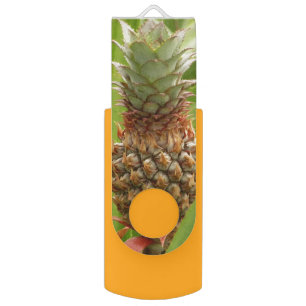 Wild Pineapple Tropical Fruit in Nature Flash Drive