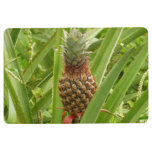 Wild Pineapple Tropical Fruit in Nature Floor Mat