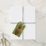 Wild Pineapple Tropical Fruit in Nature Gift Tags