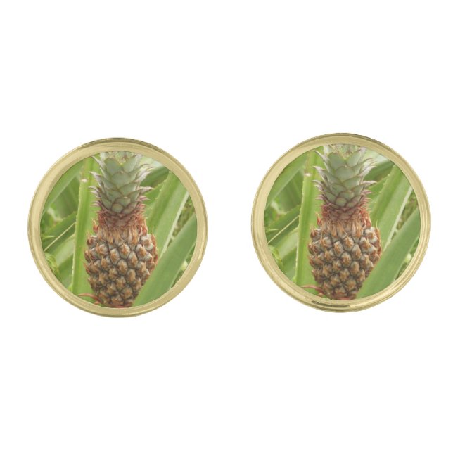Wild Pineapple Tropical Fruit in Nature Gold Cufflinks (Front)