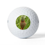 Wild Pineapple Tropical Fruit in Nature Golf Balls