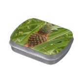 Wild Pineapple Tropical Fruit in Nature Jelly Belly Tin (Side)
