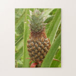 Wild Pineapple Tropical Fruit in Nature Jigsaw Puzzle