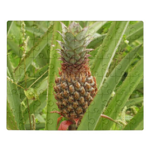 Wild Pineapple Tropical Fruit in Nature Jigsaw Puzzle