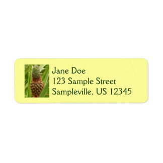 Wild Pineapple Tropical Fruit in Nature Label