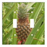 Wild Pineapple Tropical Fruit in Nature Light Switch Cover