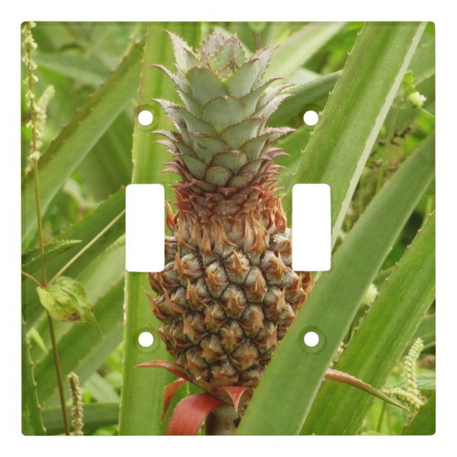 Wild Pineapple Tropical Fruit in Nature Light Switch Cover (Front)