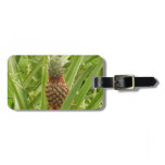 Wild Pineapple Tropical Fruit in Nature Luggage Tag
