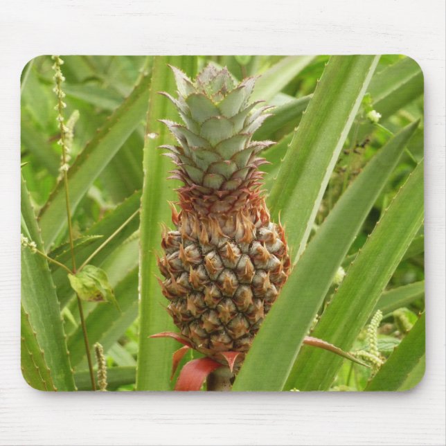 Wild Pineapple Tropical Fruit in Nature Mouse Pad (Front)