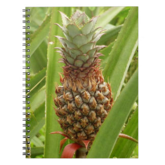 Wild Pineapple Tropical Fruit in Nature Notebook