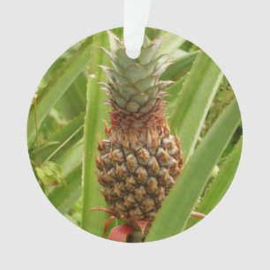 Wild Pineapple Tropical Fruit in Nature Ornament