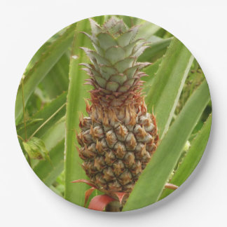 Wild Pineapple Tropical Fruit in Nature Paper Plates