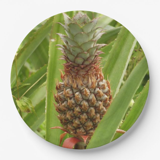 Wild Pineapple Tropical Fruit in Nature Paper Plates (Front)