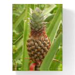 Wild Pineapple Tropical Fruit in Nature Paperweight
