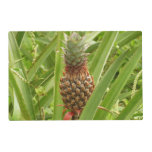 Wild Pineapple Tropical Fruit in Nature Placemat