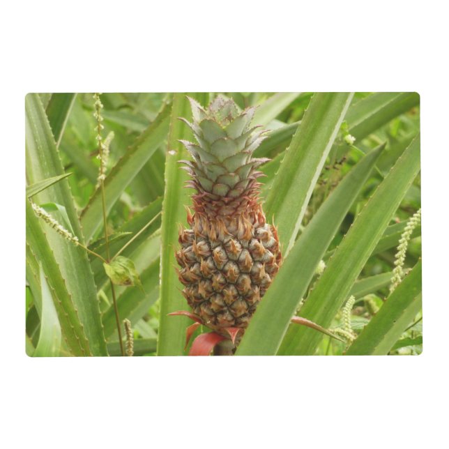 Wild Pineapple Tropical Fruit in Nature Placemat (Front)