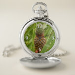 Wild Pineapple Tropical Fruit in Nature Pocket Watch