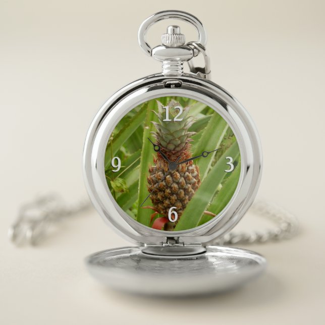 Wild Pineapple Tropical Fruit in Nature Pocket Watch (Inside)