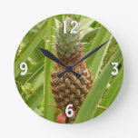 Wild Pineapple Tropical Fruit in Nature Round Clock