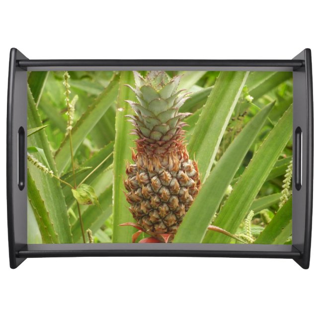 Wild Pineapple Tropical Fruit in Nature Serving Tray (Front)