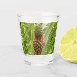 Wild Pineapple Tropical Fruit in Nature Shot Glass