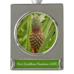 Wild Pineapple Tropical Fruit in Nature Silver Plated Banner Ornament