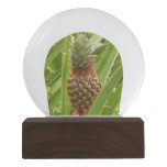 Wild Pineapple Tropical Fruit in Nature Snow Globe