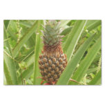 Wild Pineapple Tropical Fruit in Nature Tissue Paper