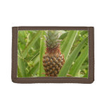 Wild Pineapple Tropical Fruit in Nature Trifold Wallet