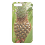 Wild Pineapple Tropical Fruit in Nature iPhone 8 Plus/7 Plus Case