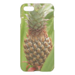 Wild Pineapple Tropical Fruit in Nature iPhone SE/8/7 Case