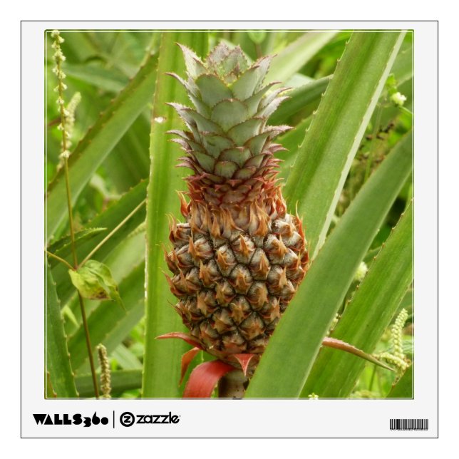 Wild Pineapple Tropical Fruit in Nature Wall Decal (Front)