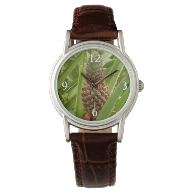 Wild Pineapple Tropical Fruit in Nature Watch (Front)