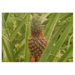 Wild Pineapple Tropical Fruit in Nature Wood Poster
