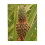 Wild Pineapple Tropical Fruit in Nature Wood Wall Decor