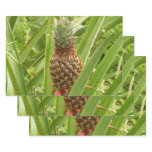 Wild Pineapple Tropical Fruit in Nature Wrapping Paper Sheets