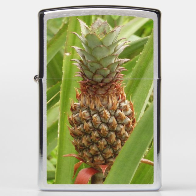 Wild Pineapple Tropical Fruit in Nature Zippo Lighter (Front)