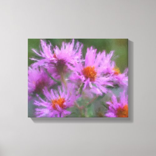 Wild Pink Asters Flower Art Canvas Print