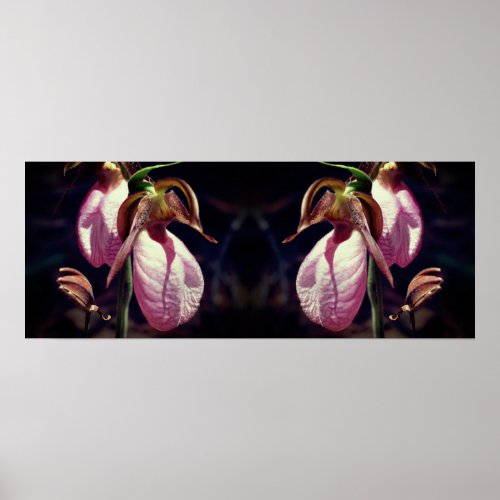 Wild Pink Lady Slipper Orchid Pair Mirror Poster