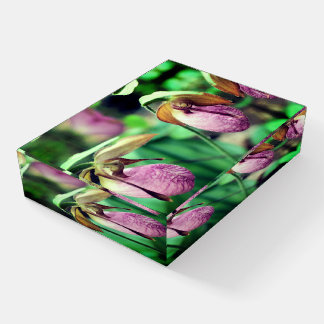 Wild Pink Lady Slipper Orchid Pair Paperweight