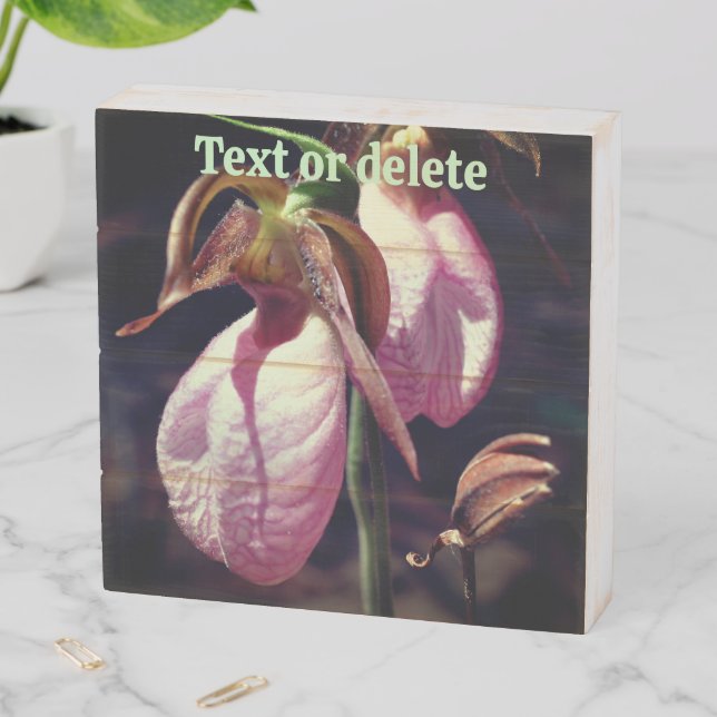 Wild Pink Lady Slipper Orchid Pair Personalized Wooden Box Sign (In Situ Horizontal)
