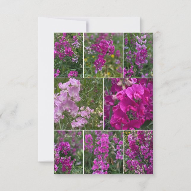 Wild Pink Pea Collage Note Card (Front)
