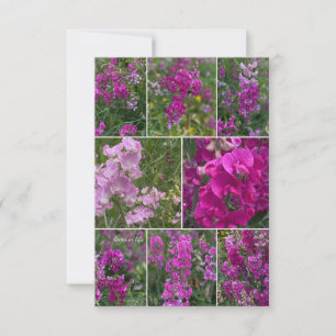 Wild Pink Pea Collage Note Card