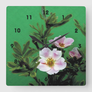 wild pink rose flowers in green, Elegant Square Wall Clock