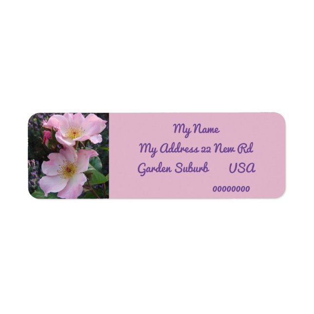 Wild Pink Rose photo Return Address Labels (Front)