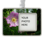 Wild Pink Roses Christmas Ornament
