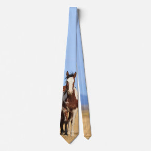 Wild Pinto Horse Neck Tie